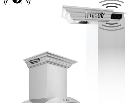 ZLINE Ducted Vent Wall Mount Range Hood in Stainless Steel with Built-in ZLINE CrownSound Bluetooth Speakers (KNCRN-BT) Online